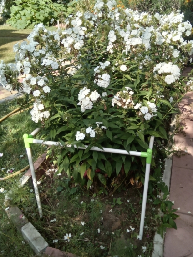 Кустодержатель квадратный Кустодержатель квадратный