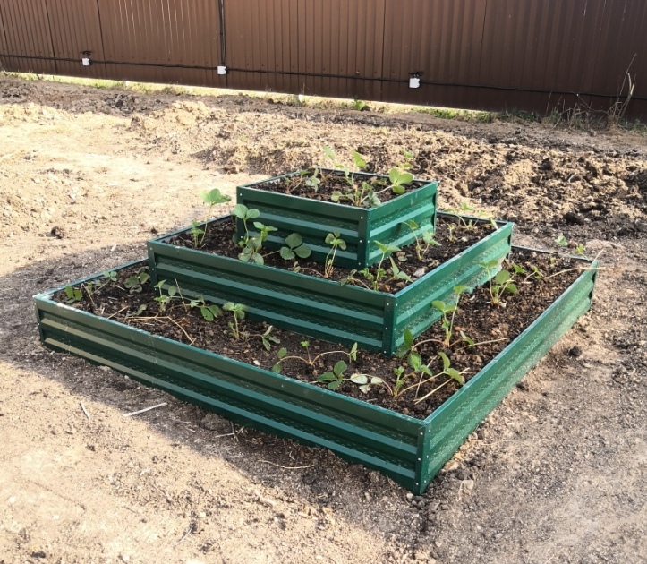 Клумбы<span style="font-style: italic;">/ </span>Цветники/ Клубничники